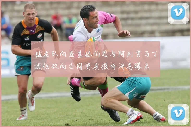 猛龙队向查基赫伯恩与阿利贾马丁提供双向合同资质报价消息曝光