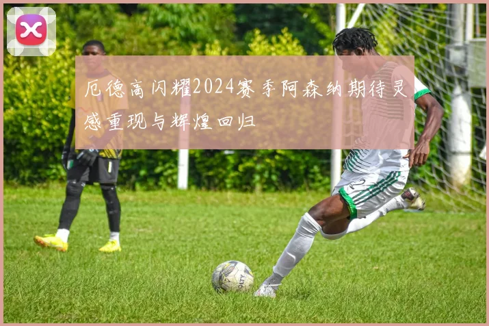 厄德高闪耀2024赛季阿森纳期待灵感重现与辉煌回归