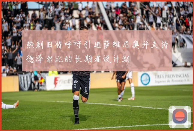 热刺旧将呼吁引进萨维尼奥并支持德泽尔比的长期建设计划