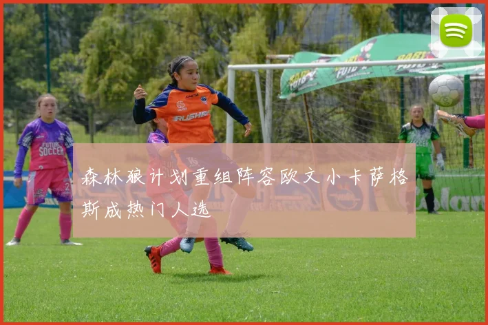 森林狼计划重组阵容欧文小卡萨格斯成热门人选